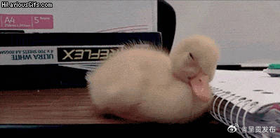 夏天午睡有助于散热