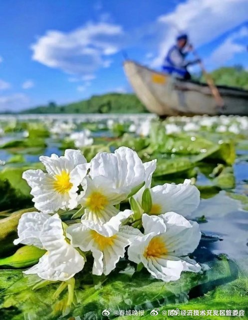 昆明经济技术开发区管委会
