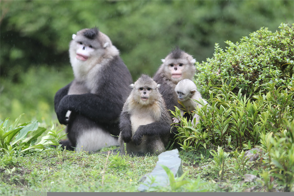云南省文化和旅游厅