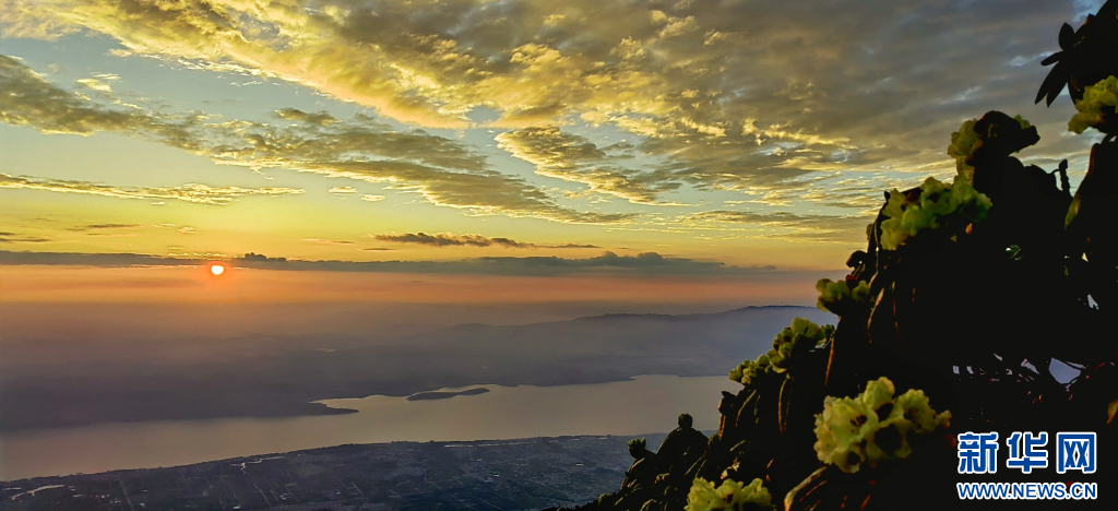 云南省文化和旅游厅