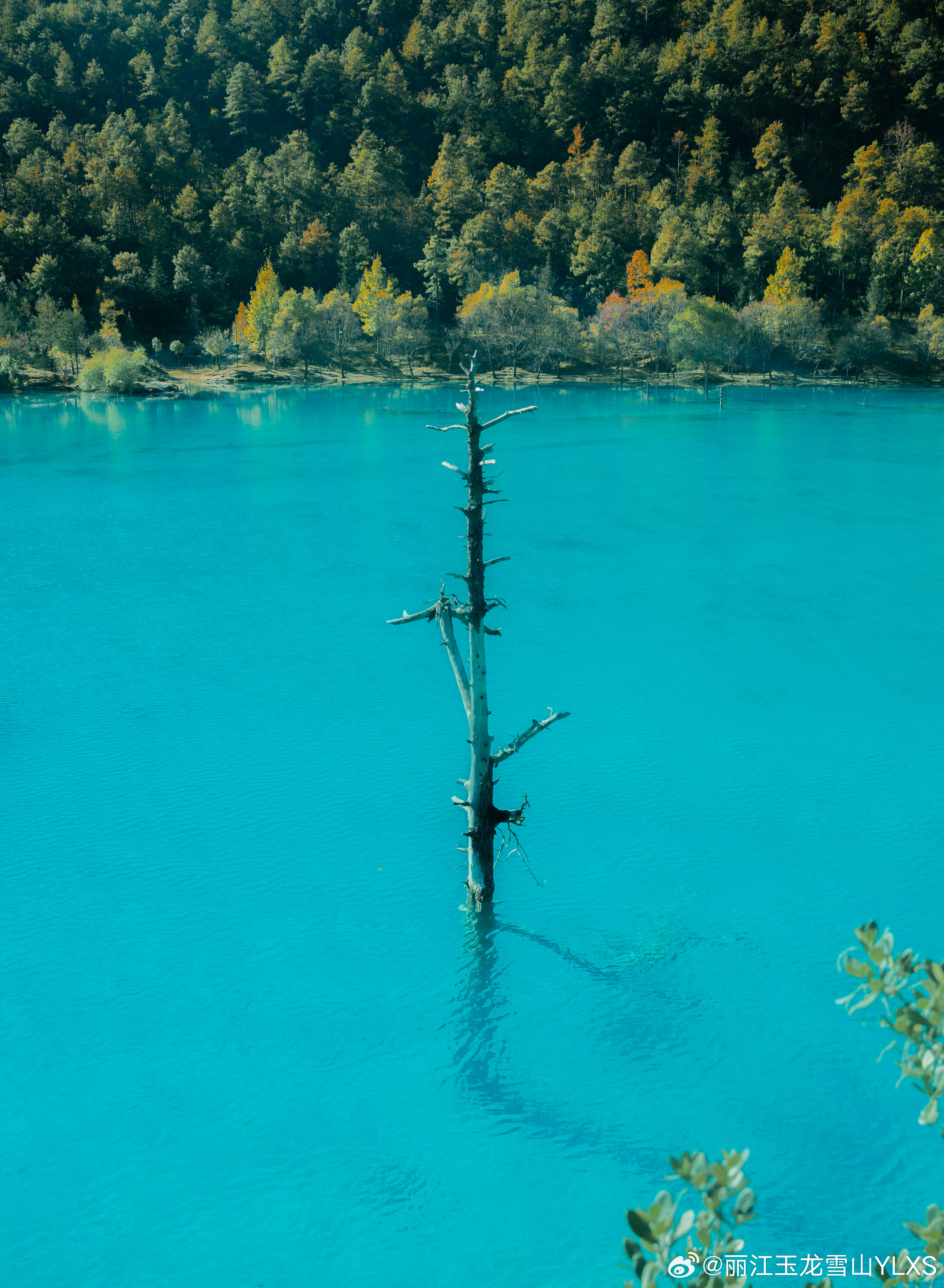 玉龙雪山景区关于错峰出游的温馨提示