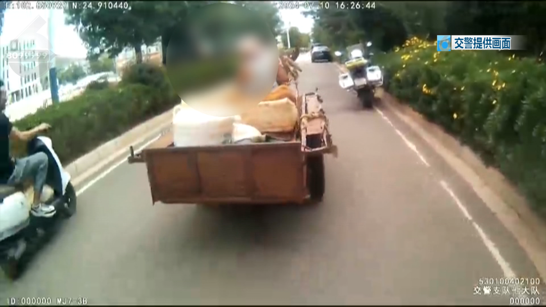 8099999街头巷尾微信