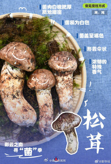保山新闻网