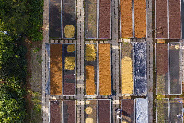 云南省文化和旅游厅