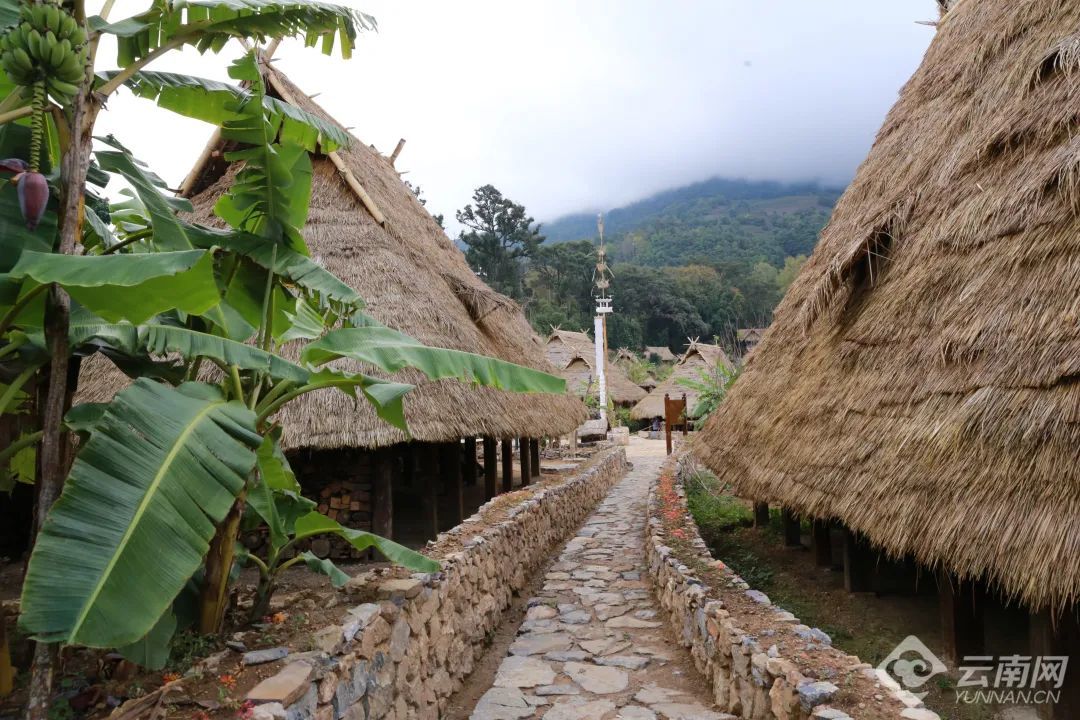 云南省文化和旅游厅