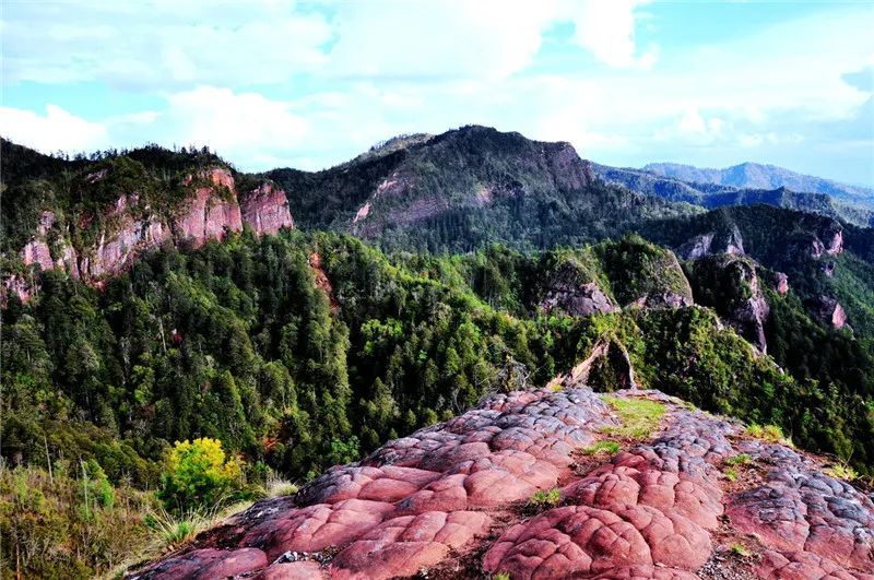 云南省文化和旅游厅