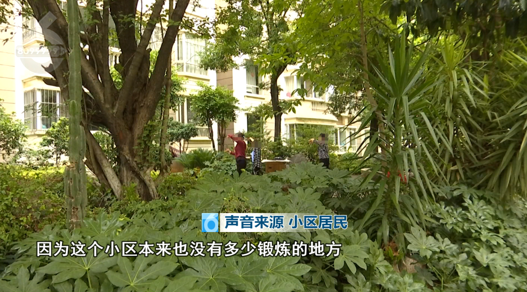 8099999街头巷尾微信