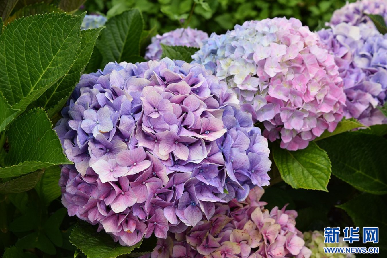 云南省文化和旅游厅