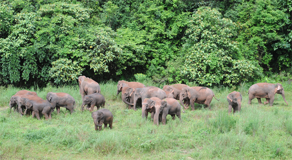 云南省文化和旅游厅