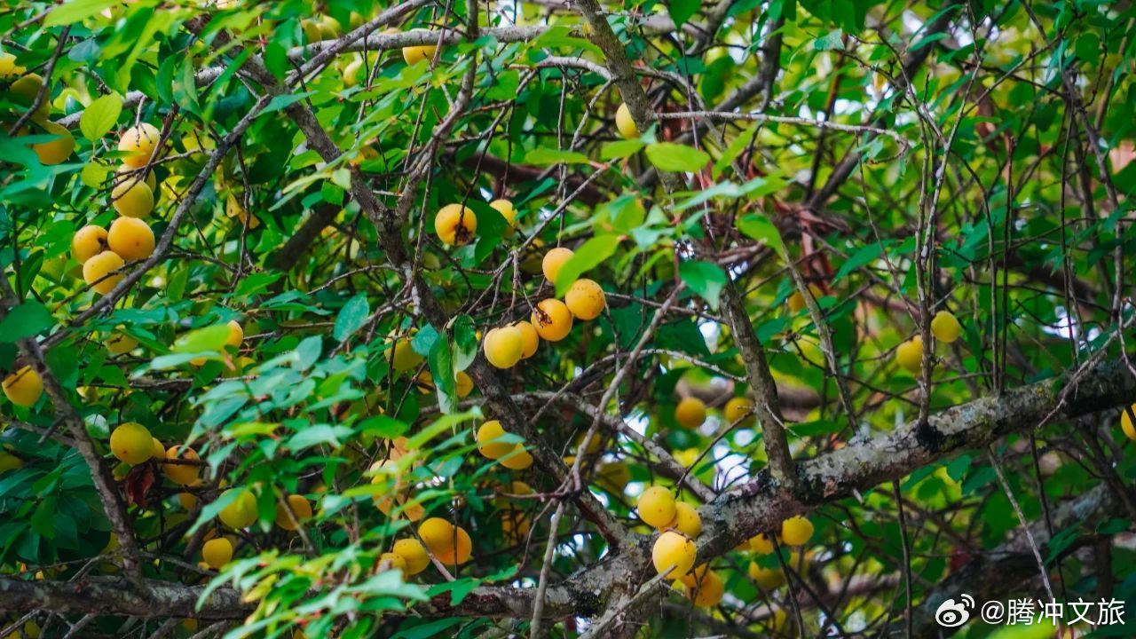 腾冲文旅