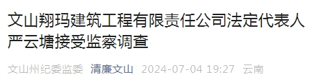 云南一企业法定代表人被查