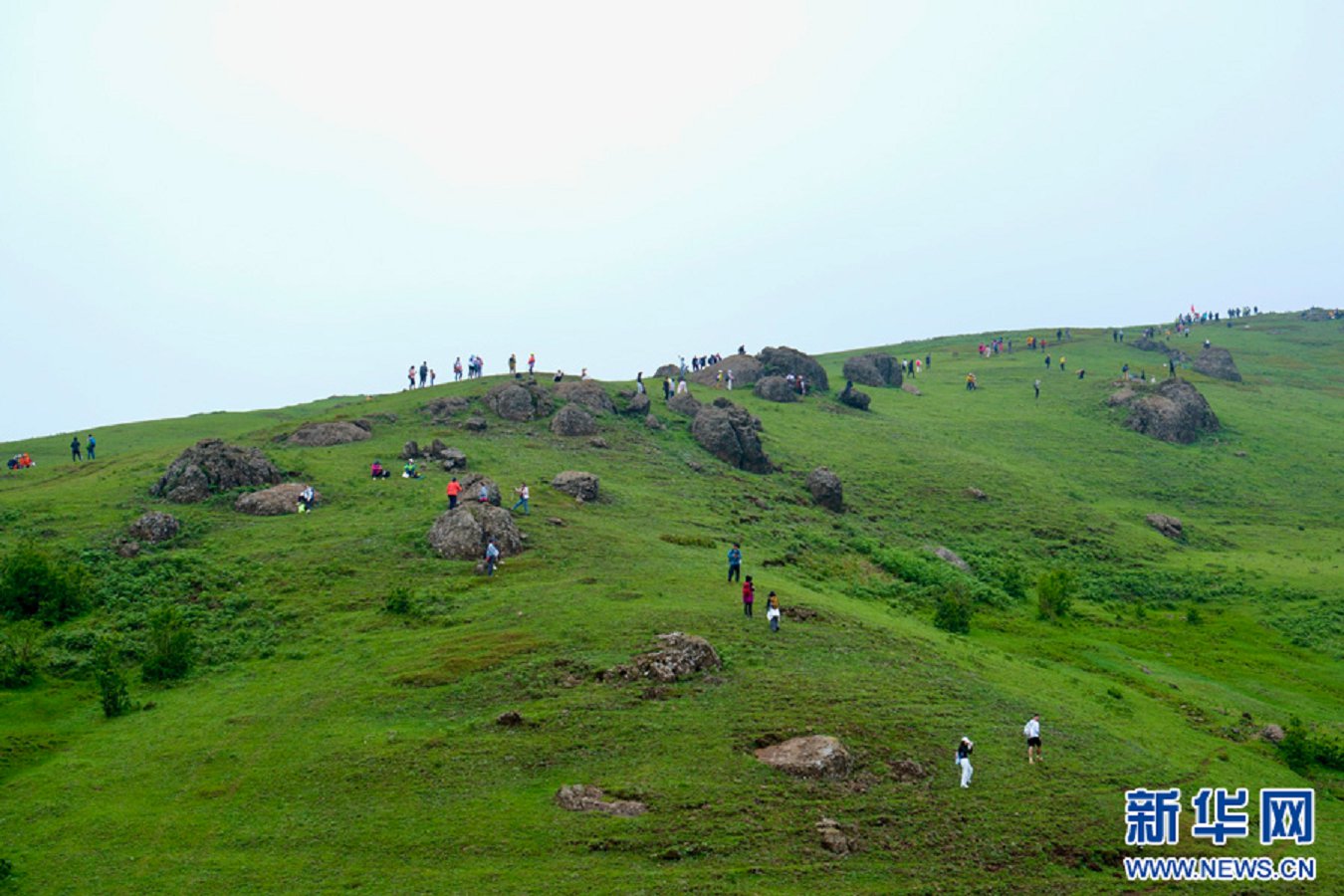 云南省文化和旅游厅