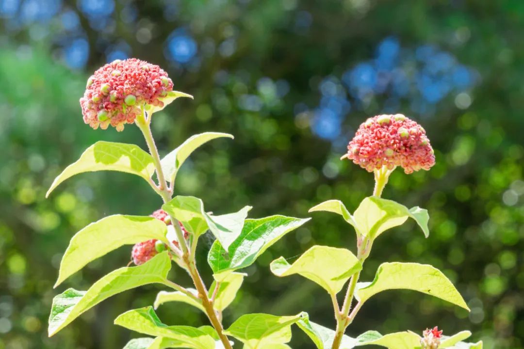 晋宁诗意的栖居地