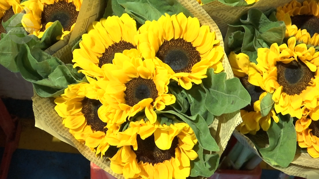 8099999街头巷尾微信