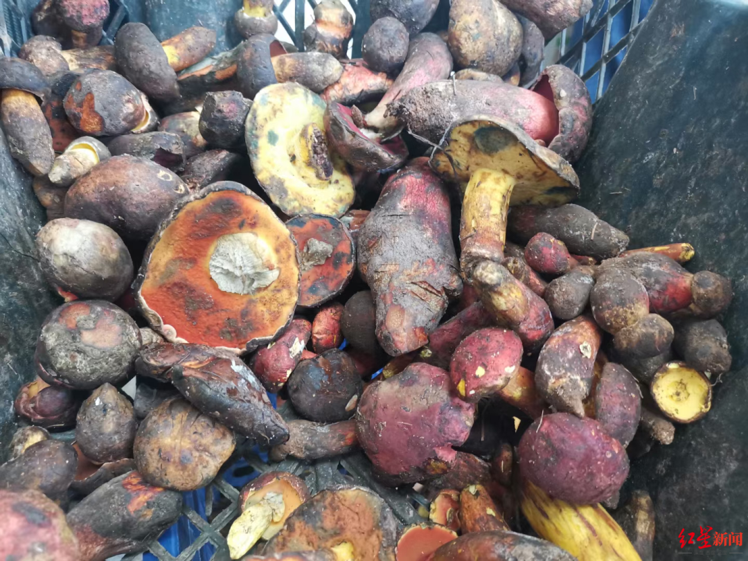 8099999街头巷尾微信