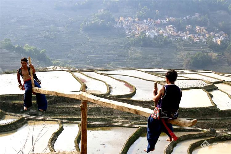 云南省文化和旅游厅