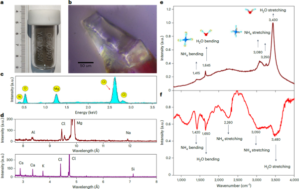 转发！中国科学家首次发现月壤分子水