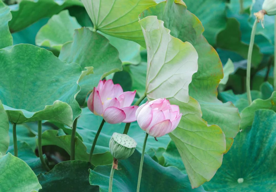 晋宁诗意的栖居地