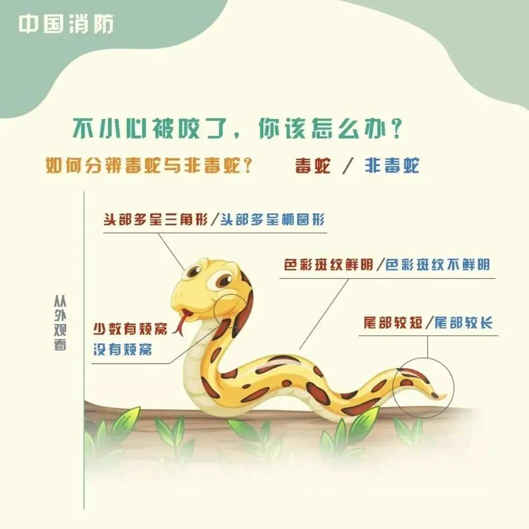 8099999街头巷尾微信