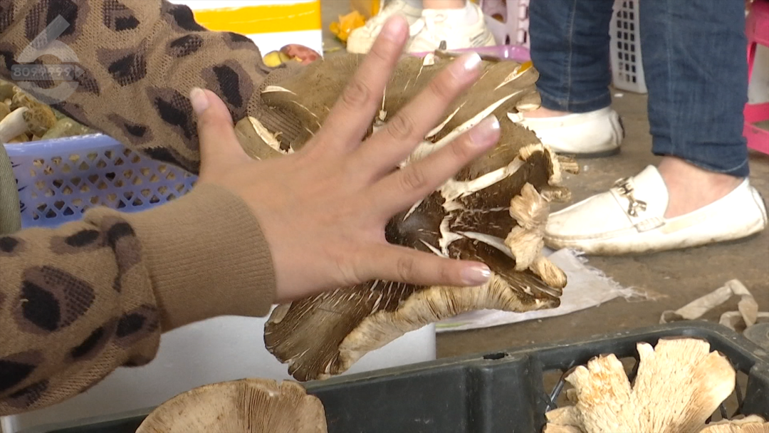 8099999街头巷尾微信