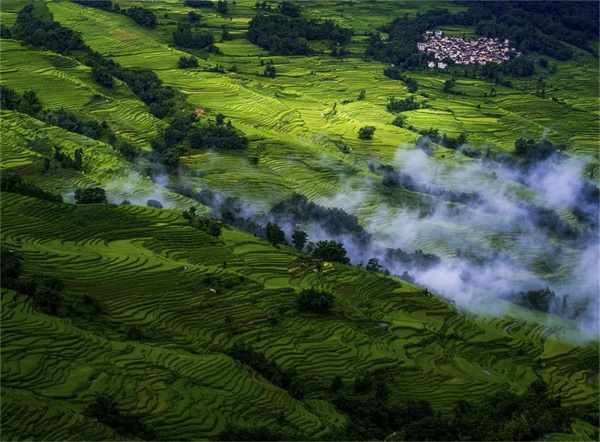 云南省文化和旅游厅