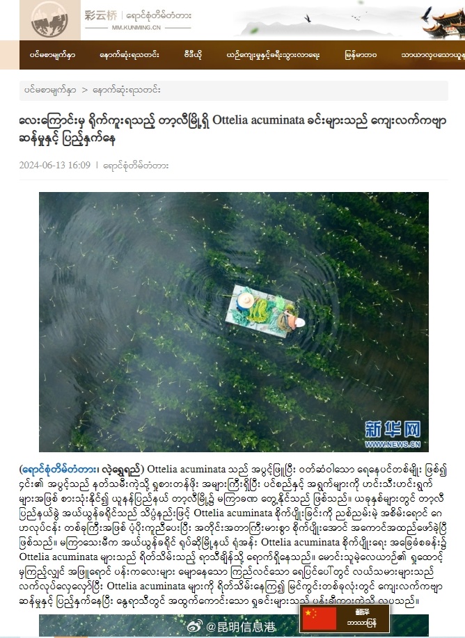 昆明信息港微博