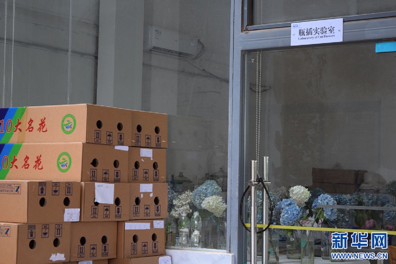 云南省文化和旅游厅