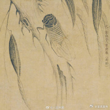 呈贡发布