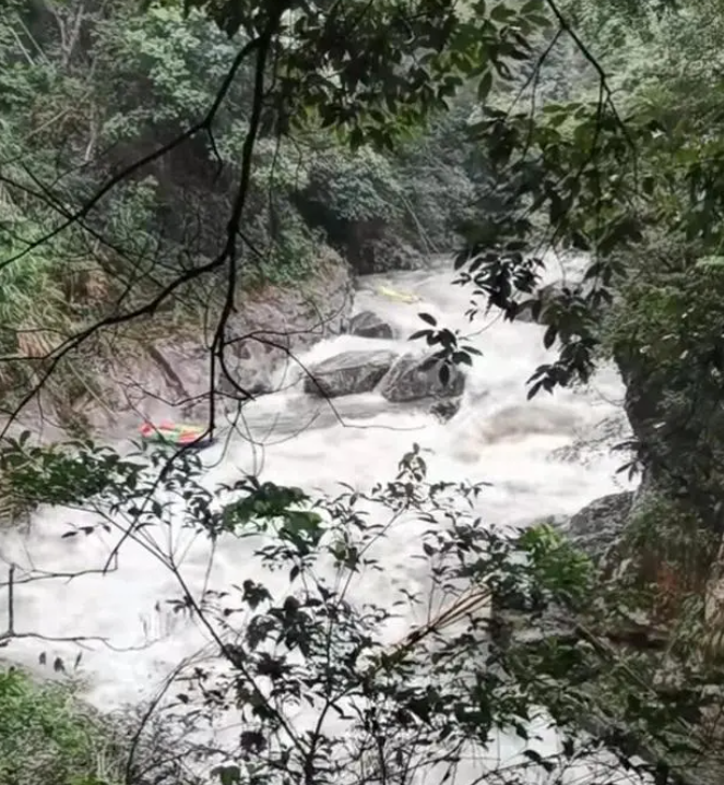 掌上春城微信
