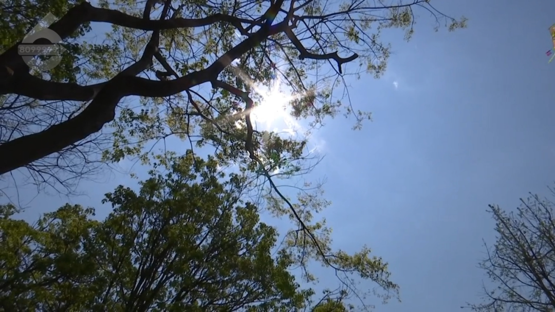 8099999街头巷尾微信