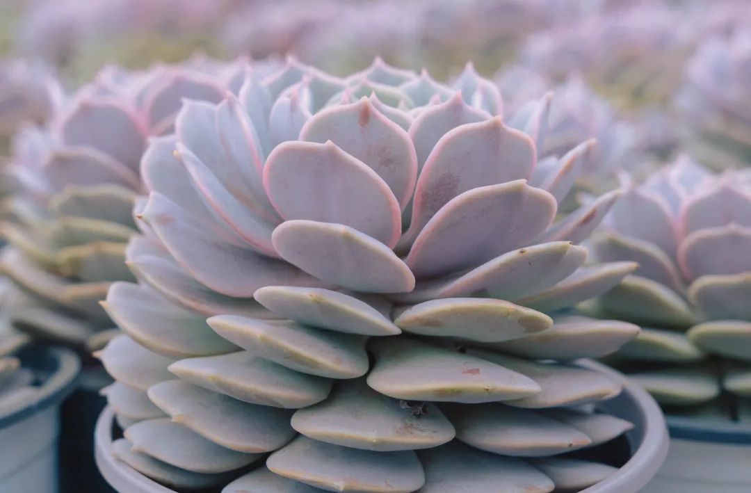 晋宁诗意的栖居地