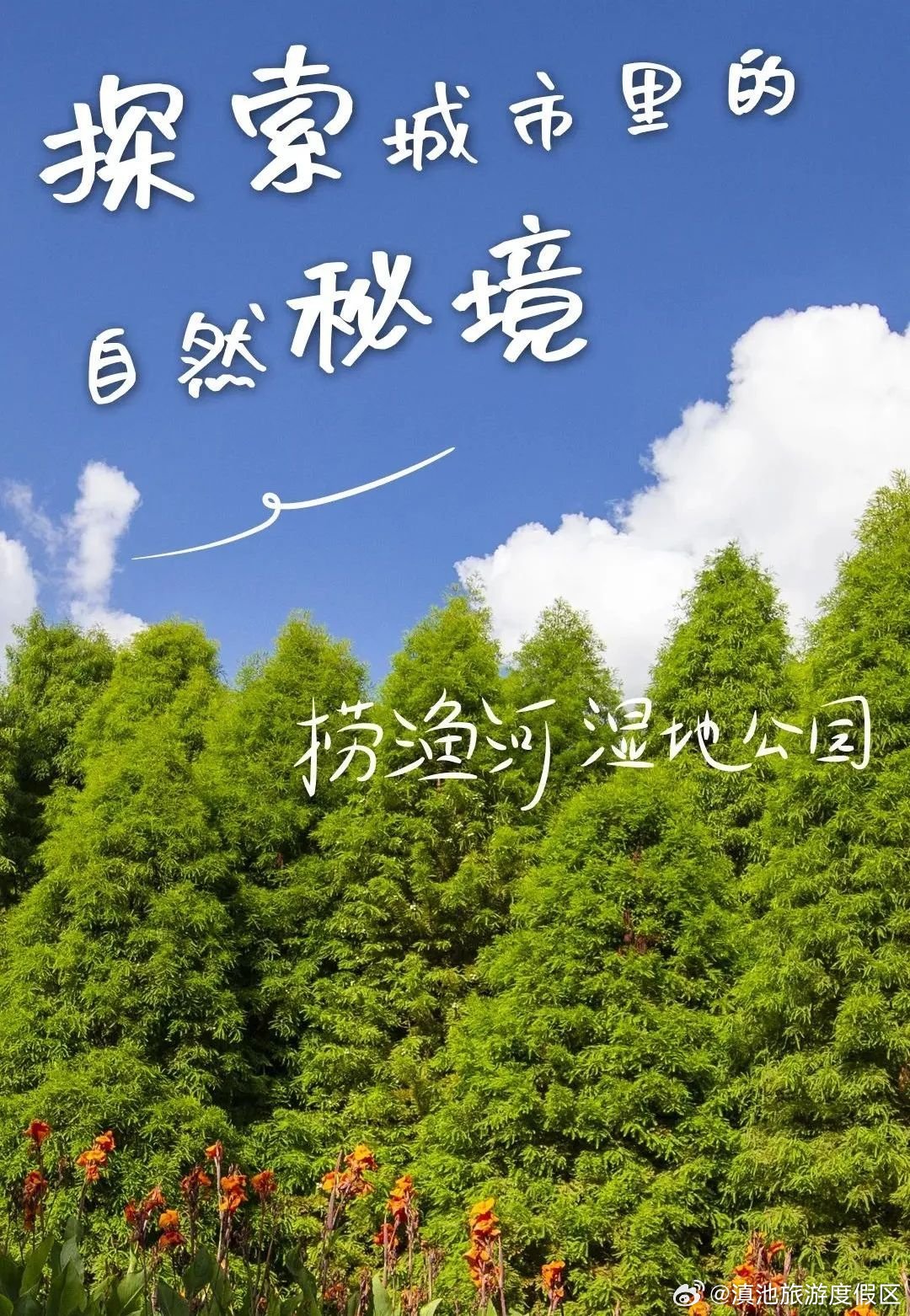 探索800亩自然秘境！来捞渔河湿地公园，领略国家级生态画卷之美~