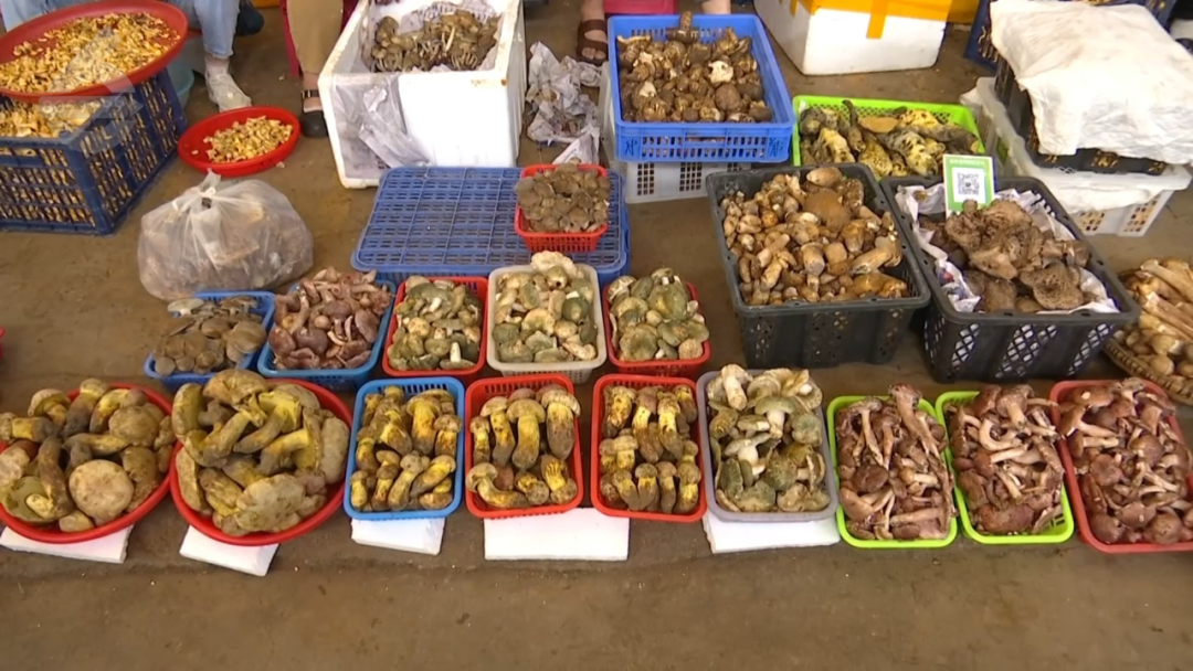 8099999街头巷尾微信