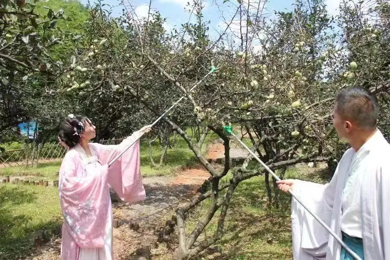 昆明市昙华寺公园