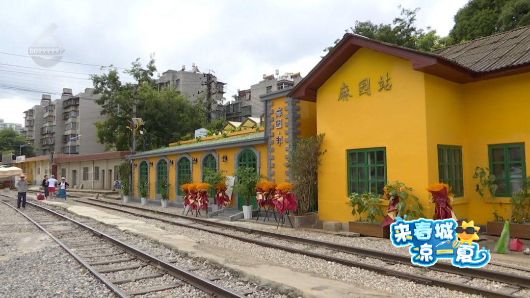 8099999街头巷尾微信