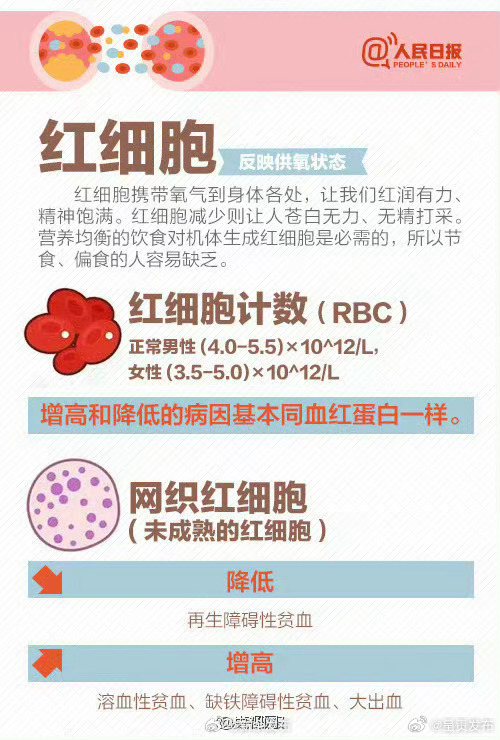 呈贡发布