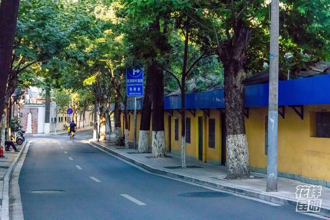 8099999街头巷尾微信