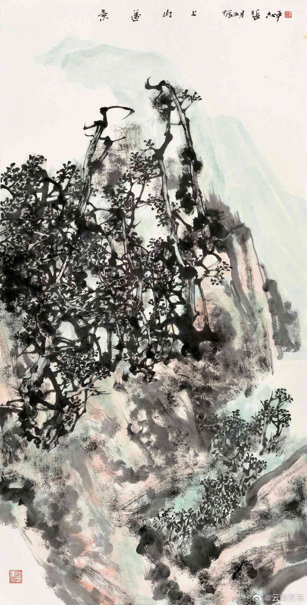 云南发布
