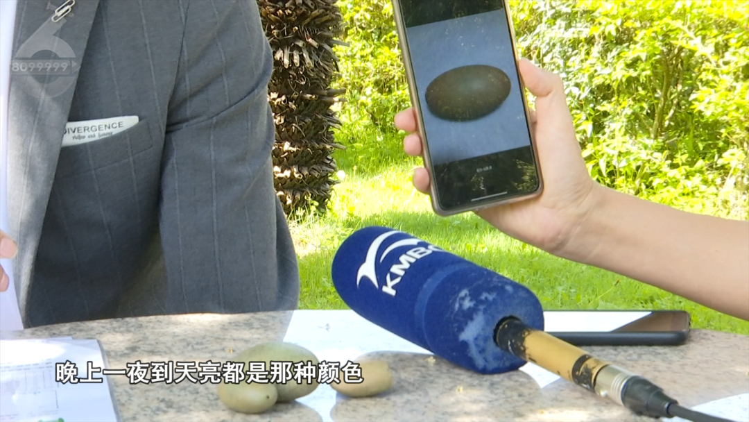 8099999街头巷尾微信