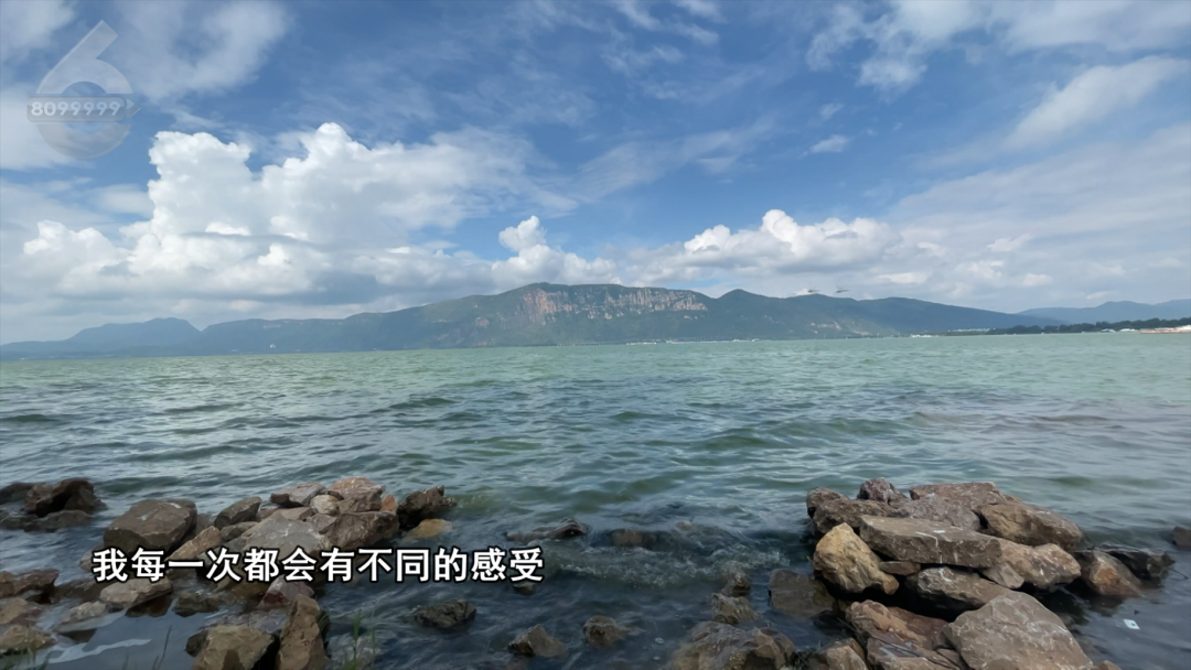 8099999街头巷尾微信