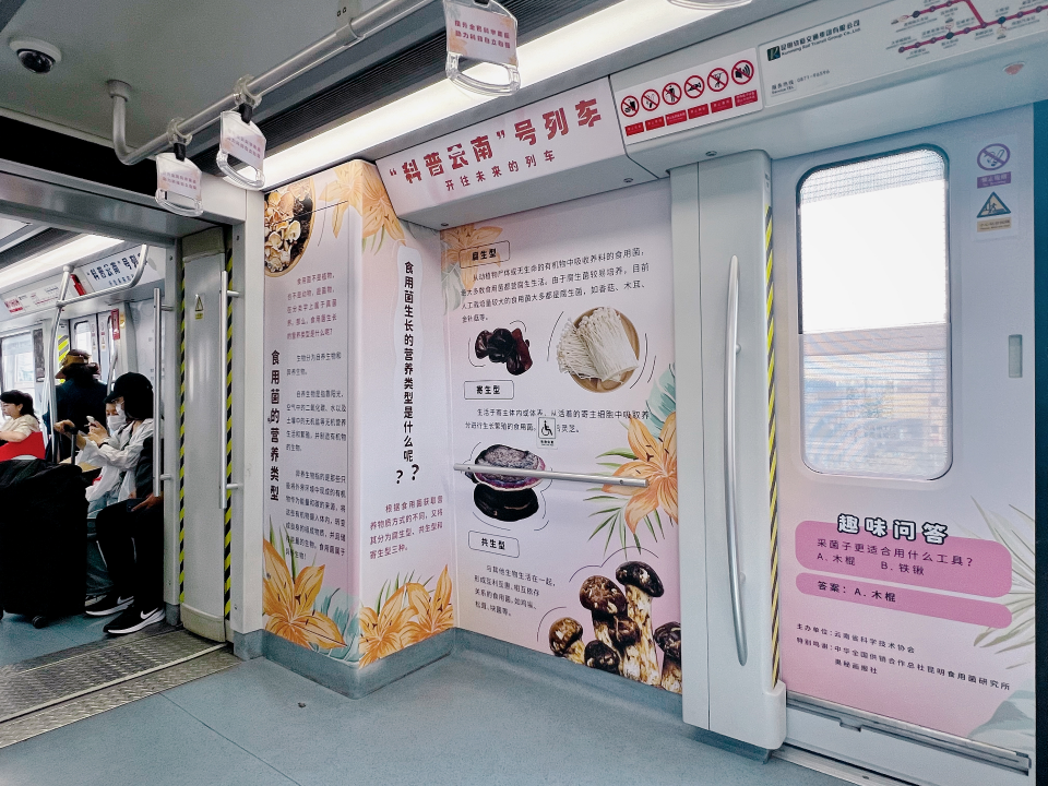 美丽云南微科普