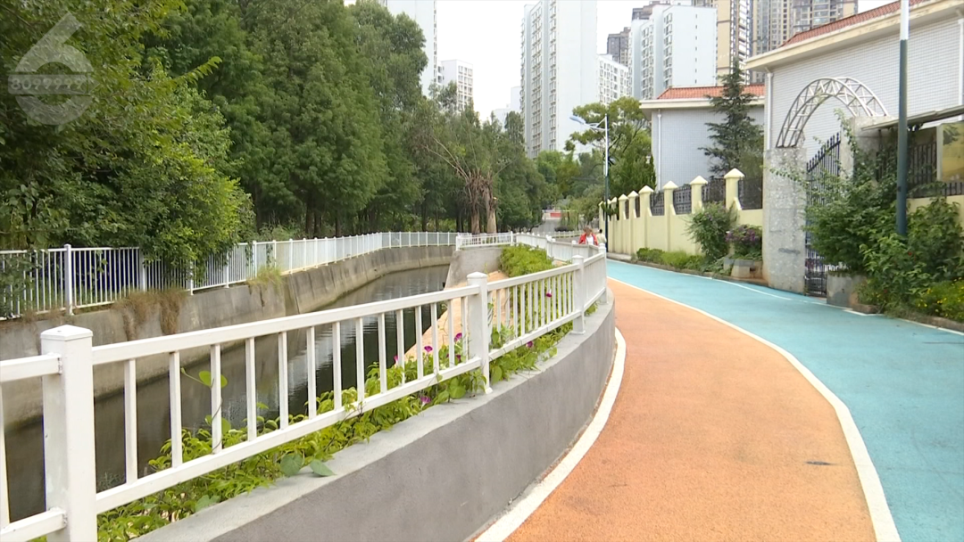 8099999街头巷尾微信