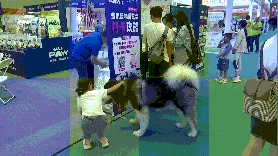 8099999街头巷尾微信