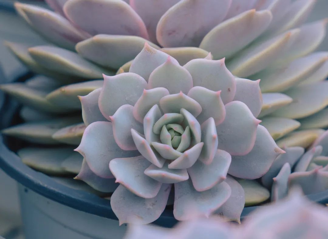 晋宁诗意的栖居地