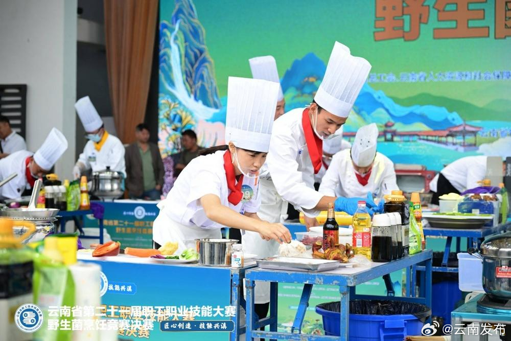 首次举行！云南野生菌烹饪技能竞赛决赛举行