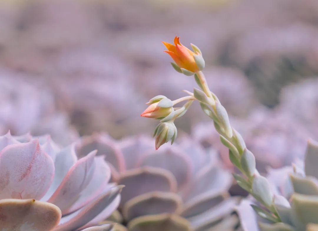 晋宁诗意的栖居地