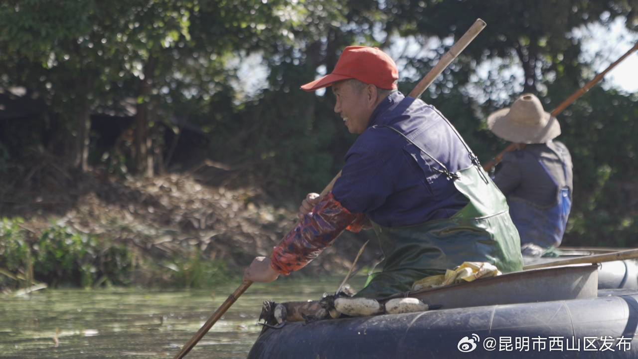 昆明市西山区发布