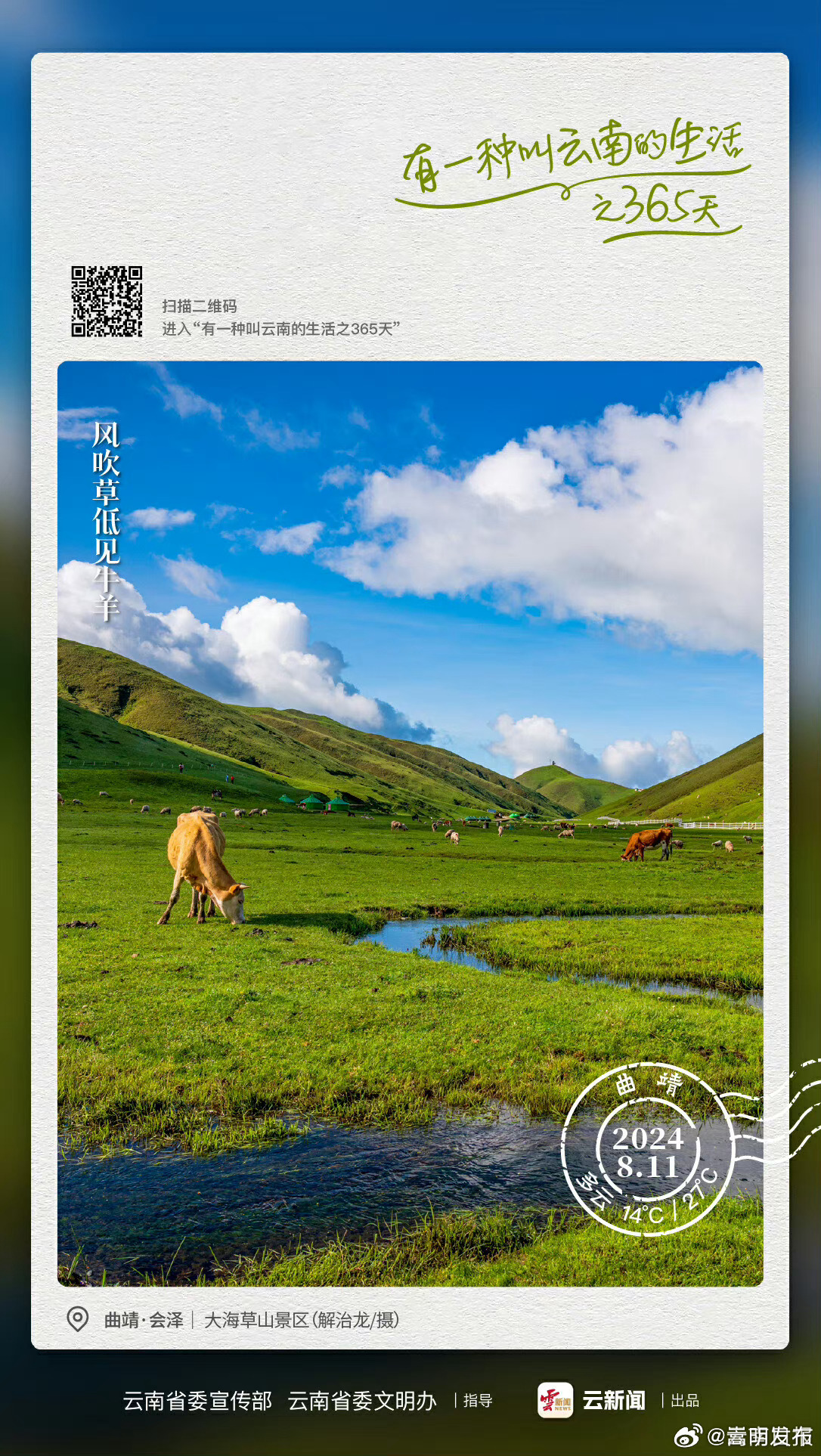 天苍苍，野茫茫——有一种叫云南的生活之365天 