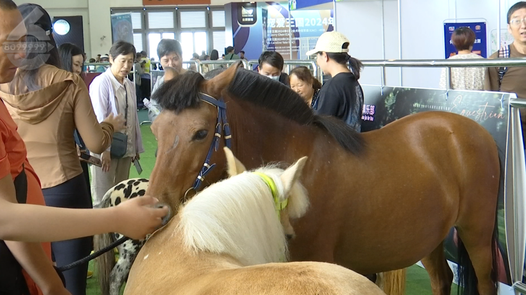 8099999街头巷尾微信