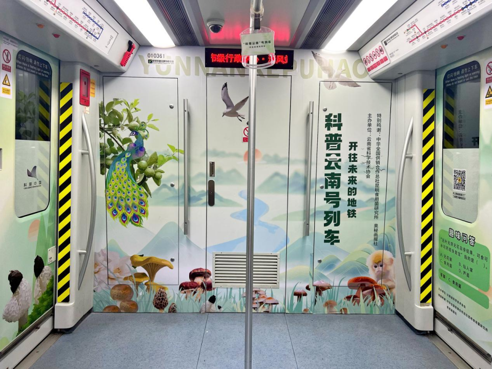 美丽云南微科普